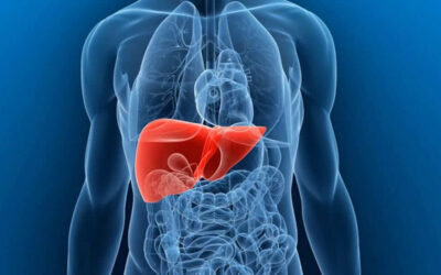 Fique atento! Participe até dia 19/10 da CP que atualiza o Protocolo Clínico e Diretrizes Terapêuticas (PCDT) da Hepatite B e Coinfecções no âmbito SUS