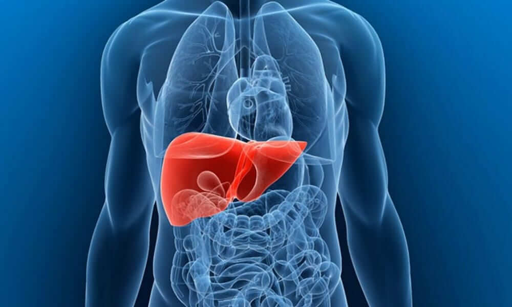 Fique atento! Participe até dia 19/10 da CP que atualiza o Protocolo Clínico e Diretrizes Terapêuticas (PCDT) da Hepatite B e Coinfecções no âmbito SUS