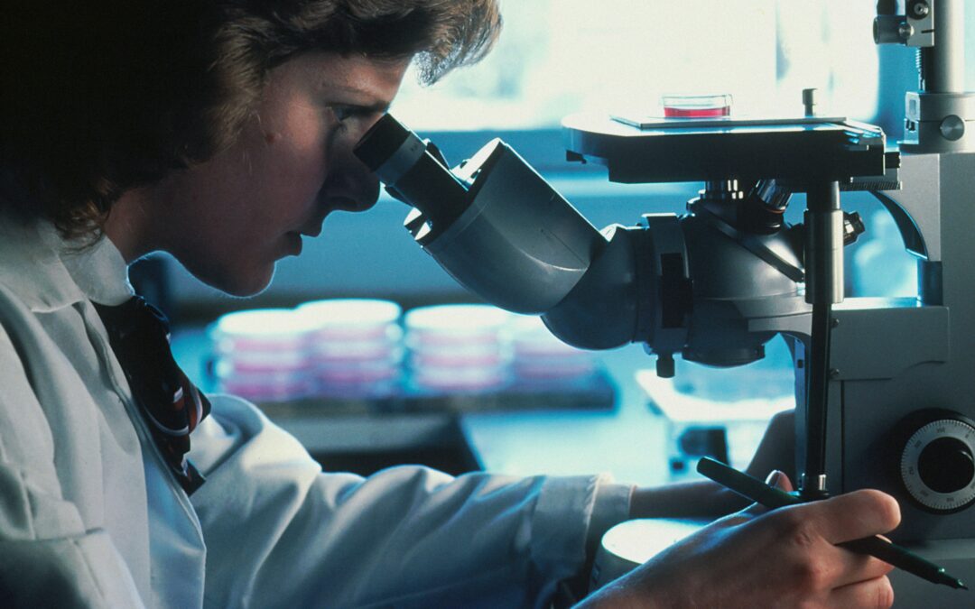 Como funcionam os medicamentos inteligentes que estão inovando o tratamento contra o câncer de mama?
